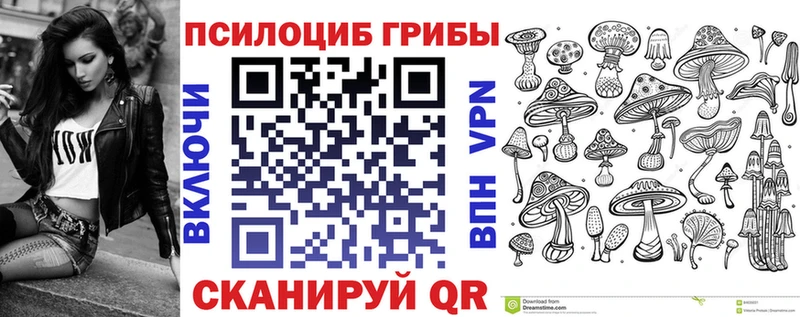 Галлюциногенные грибы Psilocybe  Купить закладки  Дальнегорск 